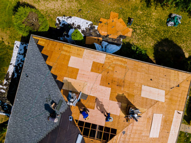 Best Storm Damage Roof Repair  in Hancock, MD